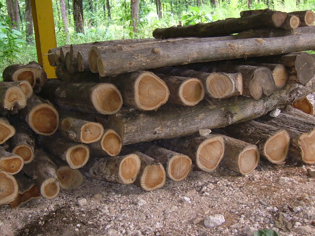 �D����˹�_��Ӯa(ch��n)��ľ �c���ɷŴ�