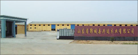 �D����˾���� �c���ɷŴ�