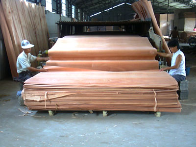 �D�����܇�gһ�� �c���ɷŴ�