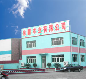 �D����˾���� �c���ɷŴ�