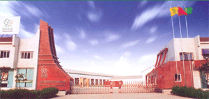 �D����˾���� �c���ɷŴ�