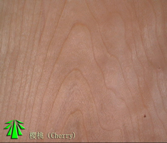 �D������ �c���ɷŴ�