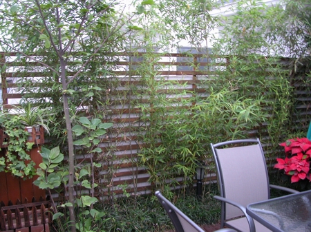 �D�����Ō�(sh��)���� �c(di��n)���ɷŴ�