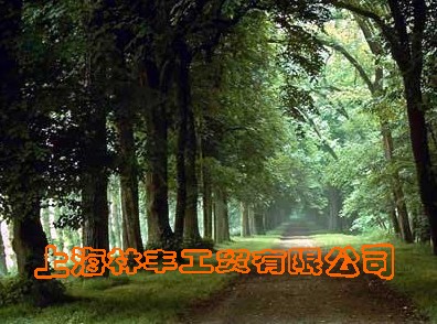 �D����I��־ �c���ɷŴ�