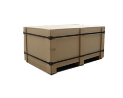 �D��8 �c���ɷŴ�