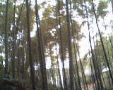 �D������ �c���ɷŴ�