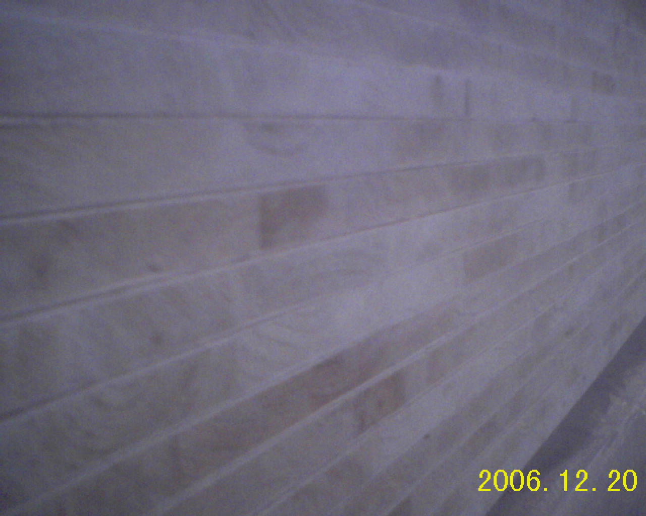 �D����ɭ�Ƽ�ľ���� �c���ɷŴ�