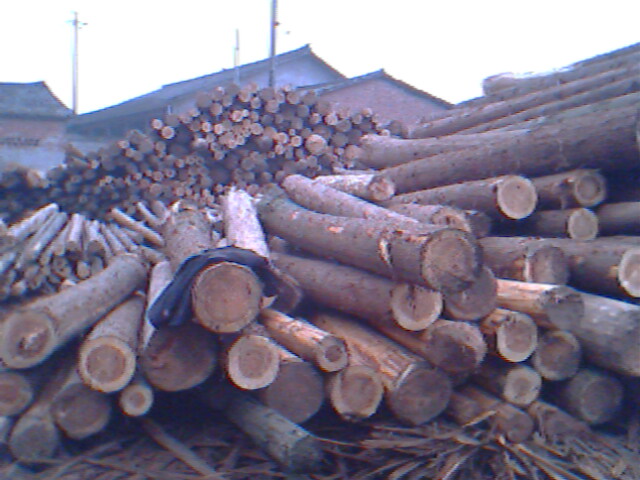 �D����ɼԭľ �c(di��n)���ɷŴ�