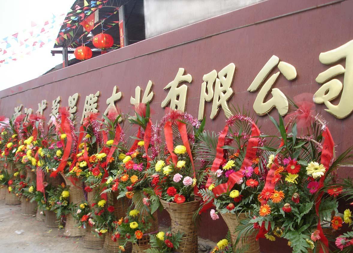 �D����˾��(ji��n)�� �c(di��n)���ɷŴ�