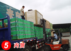 �D����(n��i)�Q(m��o) �c(di��n)���ɷŴ�