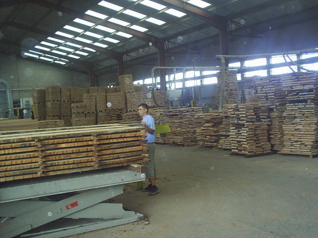 �D���}�� �c���ɷŴ�