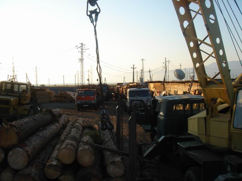 �D�����_˹����ԭľ���ˣ� �c���ɷŴ�