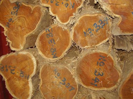 �D��̩��ԭľ���в� �c���ɷŴ�