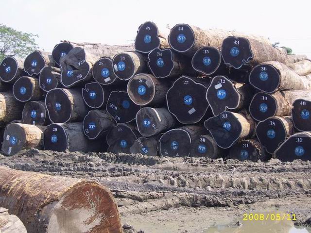 �D���ֈ�1 �c���ɷŴ�