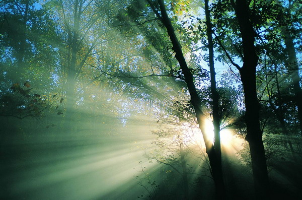 �D��    �c���ɷŴ�