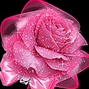 �D����Ƭ �c(di��n)���ɷŴ�