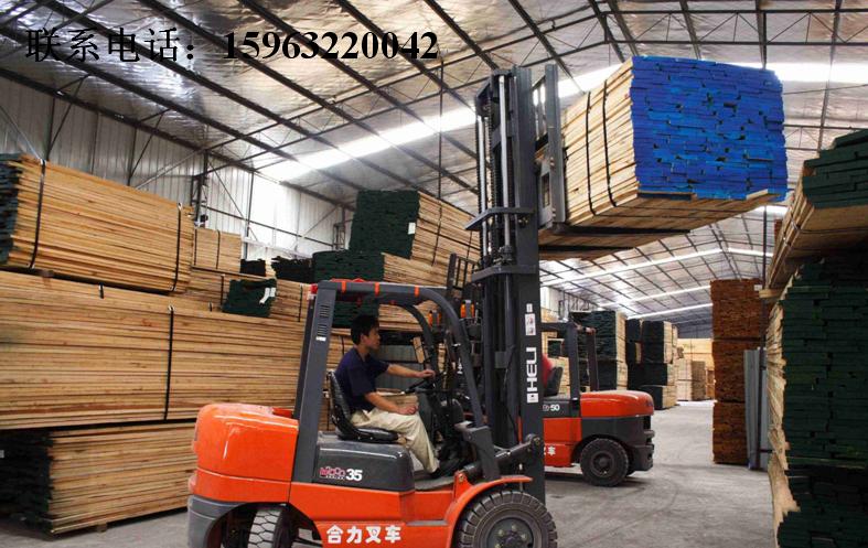 �D�����T�������� �c���ɷŴ�