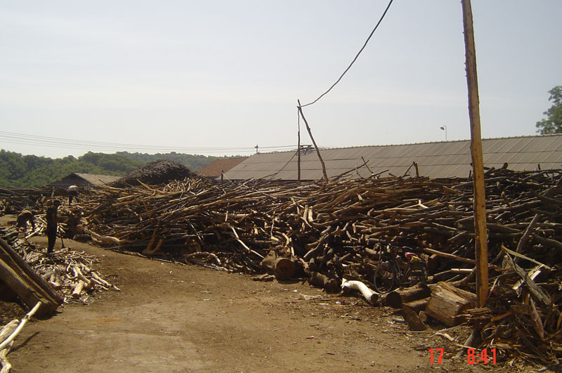 �D��ľƬ���a���� �c���ɷŴ�