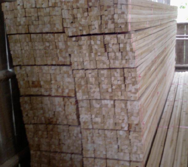 �D��ɼľ�l��1 �c���ɷŴ�