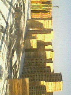 �D���бP �c���ɷŴ�