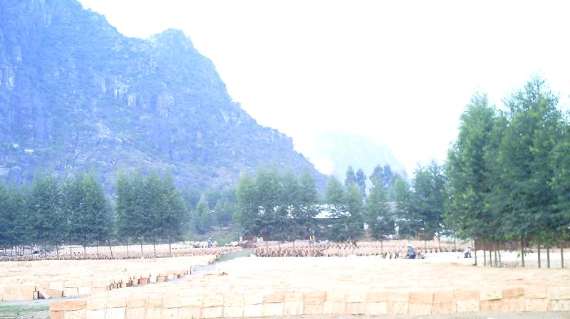 �D���F���������^��_�а�S �c���ɷŴ�