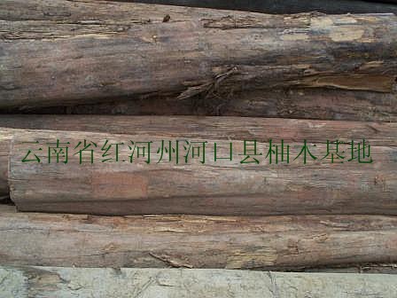 �D����ľԭľ �c���ɷŴ�