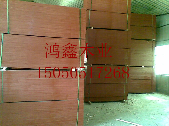 �D���t�� �c���ɷŴ�