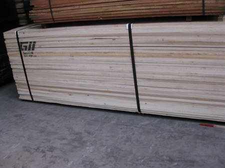 �D��YELLOW POPLAR �c���ɷŴ�