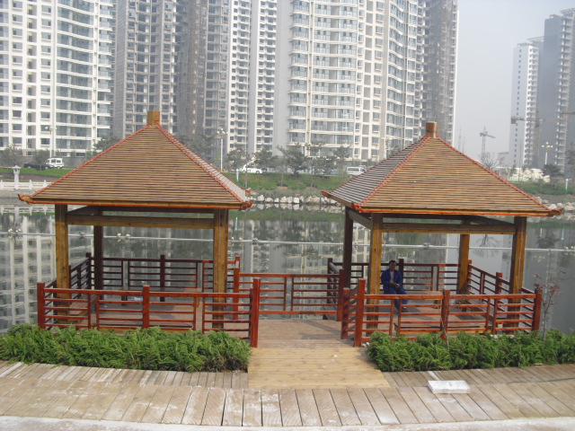 �D������ľ-ľ��ͤ �c���ɷŴ�