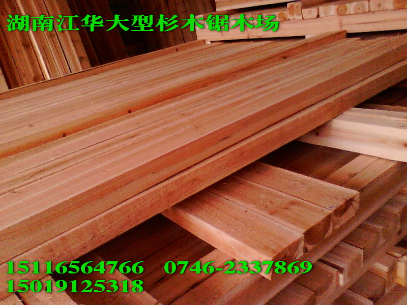 �D�����gľ�ġ����|ɼľ����� �c���ɷŴ�