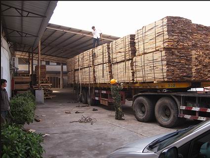 �D����؛�F�� �c���ɷŴ�