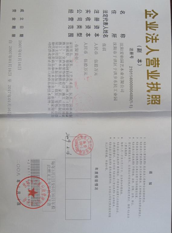 �D���C���ļ� �c���ɷŴ�