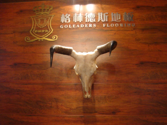 �D�����ֵ�˹���������� �c���ɷŴ�