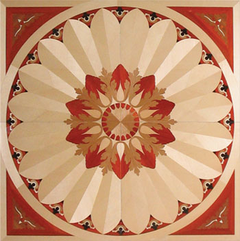 �D��ˇ�gƴ���ذ� �c���ɷŴ�