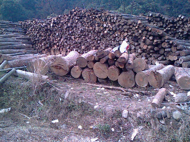 �D�����Ĉ���2�� �c���ɷŴ�