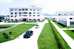 �D���@�^(q��)�L(f��ng)�� �c���ɷŴ�