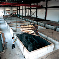 �D�����S �c���ɷŴ�