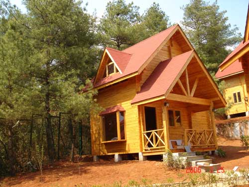 �D������ľľ�� �c���ɷŴ�