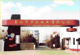 �D���S�DƬ �c���ɷŴ�