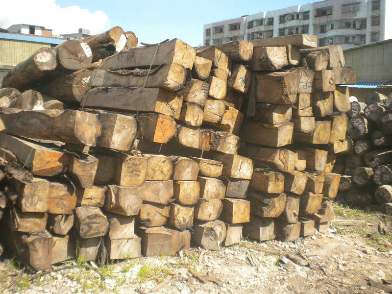 �D�������� �c���ɷŴ�