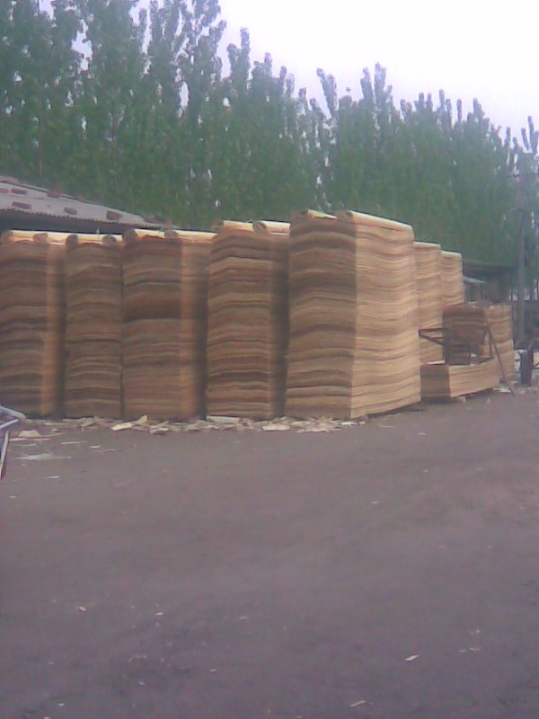 �D�����a����Ƥ �c���ɷŴ�