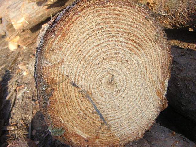 �D������-���Ʒ-�aƷ �c���ɷŴ�