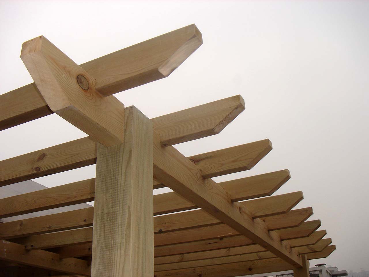 �D������ �c���ɷŴ�