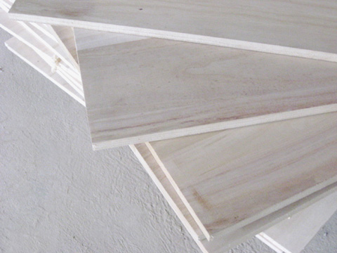 �D��ͩľ�Ҿ�Ҏ(gu��)��� �c���ɷŴ�