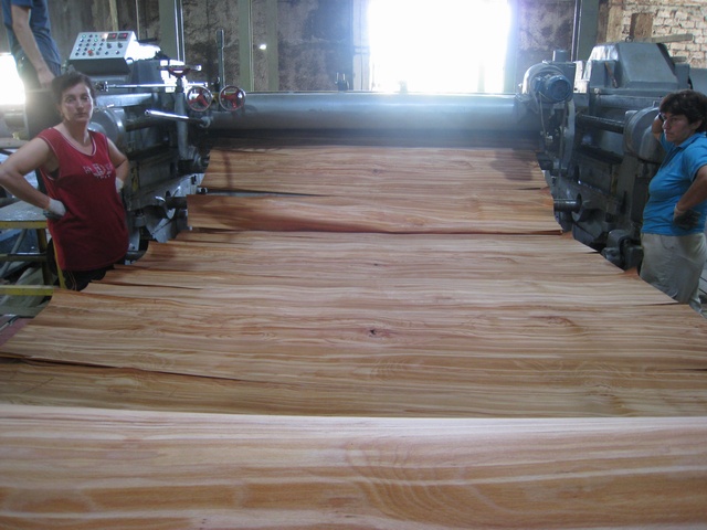 �D��7-����ľƤ��ˮ��-2 �c���ɷŴ�