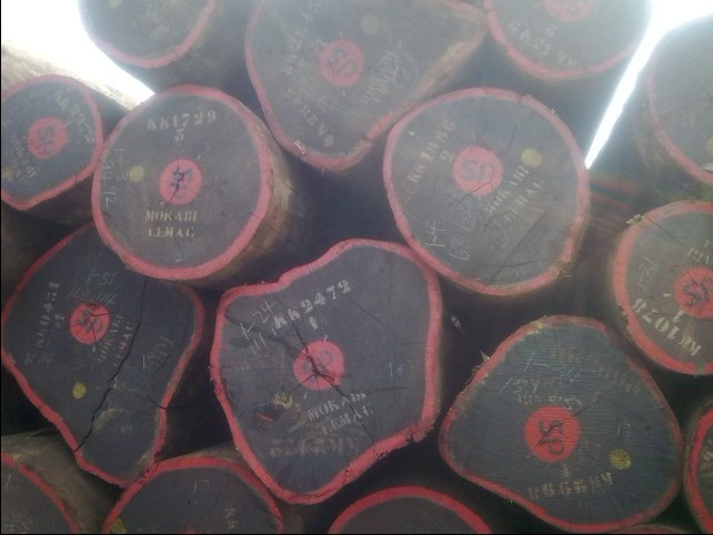 �D���t���� �c(di��n)���ɷŴ�