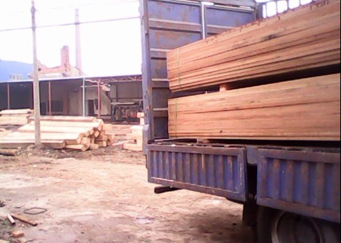 �D������t�������ɷ���ľ�b܇ �c���ɷŴ�