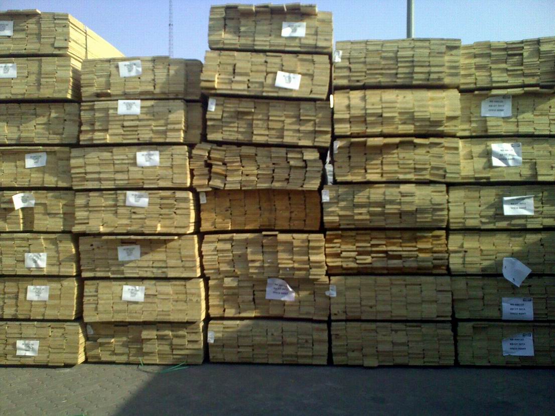 �D��19mm��Ȱ�� �c���ɷŴ�