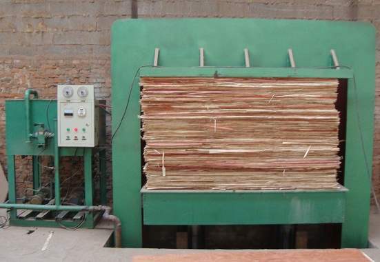 �D��܇�g����3 �c���ɷŴ�