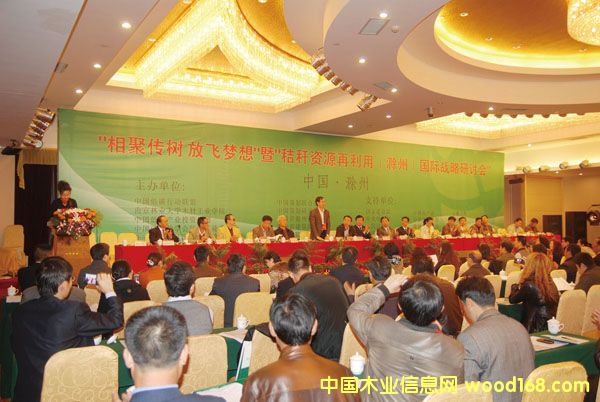 �D����ۂ��� �c���ɷŴ�